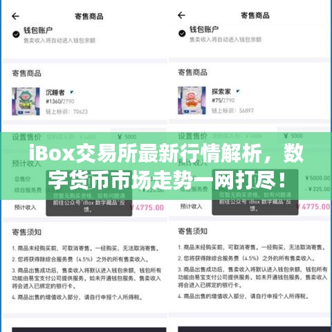 iBox交易所最新行情解析，數(shù)字貨幣市場走勢一網(wǎng)打盡！