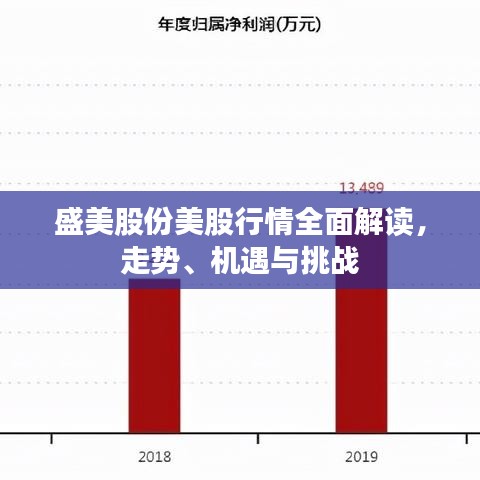 盛美股份美股行情全面解讀，走勢、機遇與挑戰(zhàn)