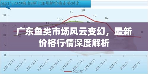 廣東魚類市場風云變幻，最新價格行情深度解析