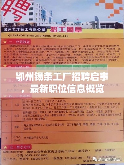 鄂州錫條工廠招聘啟事，最新職位信息概覽