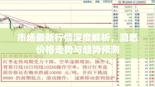 市場最新行情深度解析，洞悉價格走勢與趨勢預測