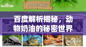 百度解析揭秘，動(dòng)物奶油的秘密世界！