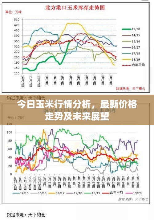 今日玉米行情分析，最新價格走勢及未來展望