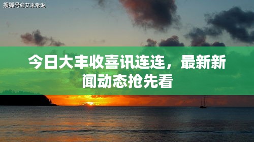 今日大豐收喜訊連連，最新新聞動(dòng)態(tài)搶先看