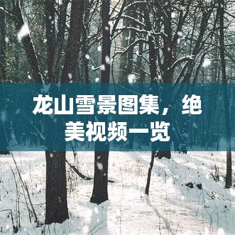 龍山雪景圖集，絕美視頻一覽