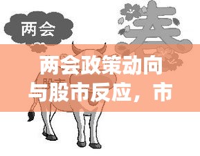 兩會(huì)政策動(dòng)向與股市反應(yīng)，市場(chǎng)走勢(shì)揭秘，投資機(jī)會(huì)前瞻