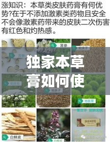 獨(dú)家本草膏如何使用，獨(dú)家本草膏有副作用嗎 