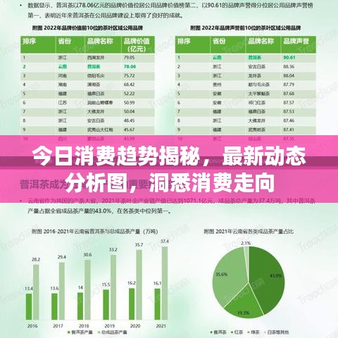 今日消費趨勢揭秘，最新動態(tài)分析圖，洞悉消費走向