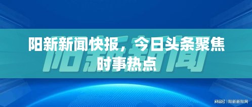 陽新新聞快報，今日頭條聚焦時事熱點