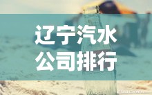 遼寧汽水公司排行榜揭曉，誰(shuí)領(lǐng)風(fēng)騷？