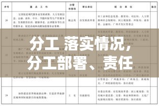 分工 落實情況，分工部署、責任落實 