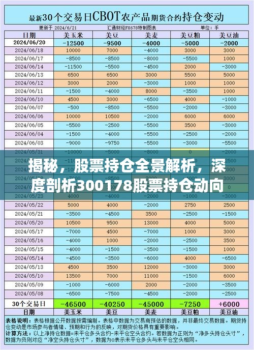 揭秘，股票持倉全景解析，深度剖析300178股票持倉動向