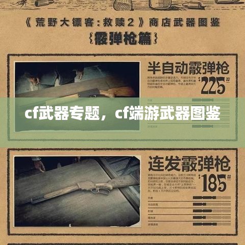 cf武器專題，cf端游武器圖鑒 